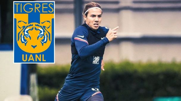 Tigres confirma interés por Sebastián Córdova y niega mala relación con Carlos Salcedo